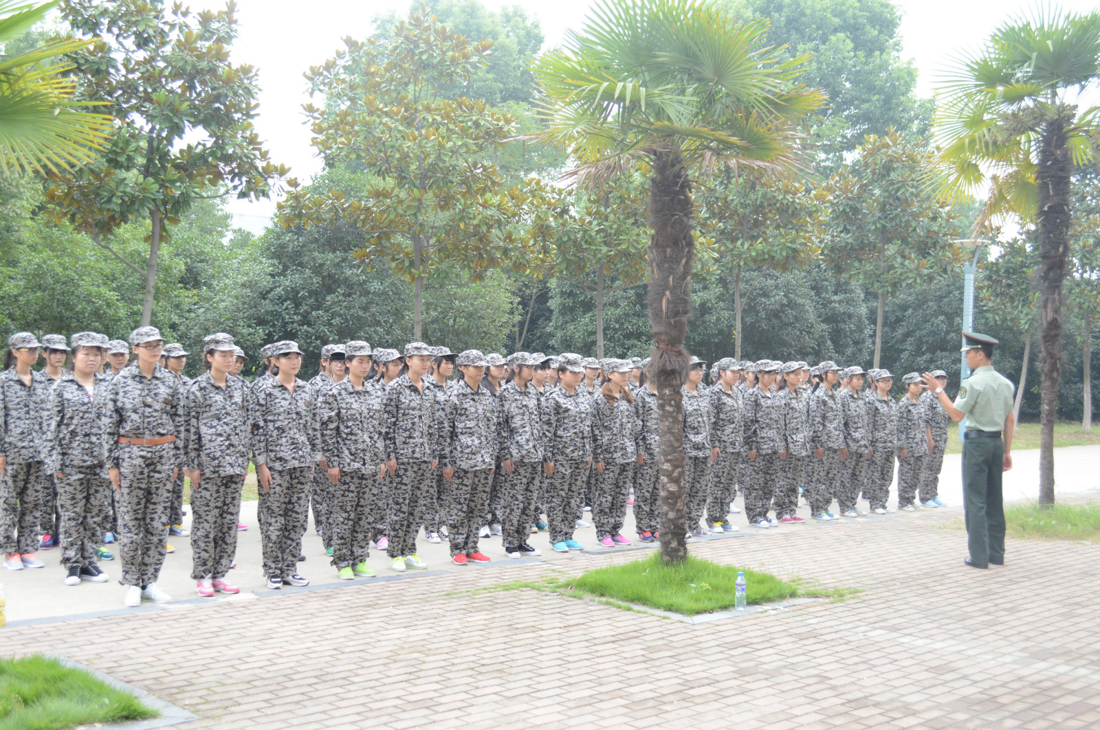 文化与新闻传播公司2014新生军训系列报道之一