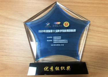 公司学子在安徽省第十七届青少年体育舞蹈网络 锦标赛中喜获佳绩