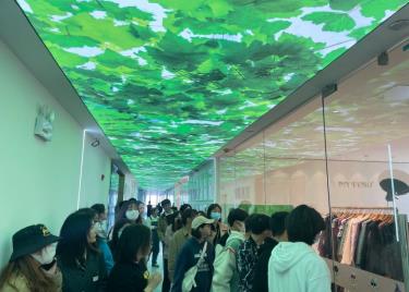 太阳成集团122ccvip组织员工赴安徽美巴网络科技有限公司开展认知实习