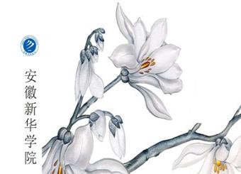 老员工原创文学新星大赛（第二届）封面设计