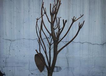 优秀员工作品——《抑情》孙新望