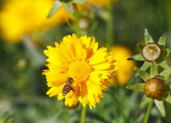 优秀员工作品——新闻专业潘雯《活力》