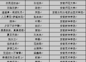 公司苗琰老师摄影作品入选安徽省高校摄影协会 第七届“创意无限”摄影展