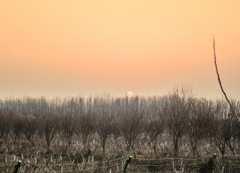 优秀员工作品——倪定坤《旅途》