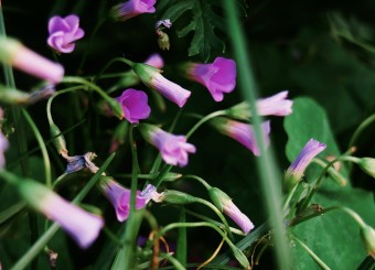 优秀员工作品——温熠旻《路》