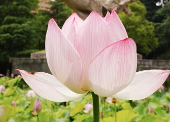 优秀员工作品——张晋豪《时光》