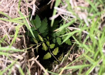 优秀员工作品——芮雨柔《洞中小世界》