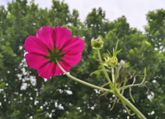 优秀员工作品——吴宇薇《背面》《觅食》《隙》
