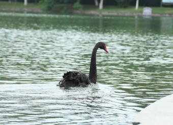 优秀员工作品——赵丁宁《我走啦 下次见》
