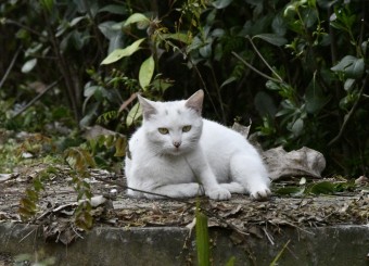 优秀员工作品——周明远《凝视》