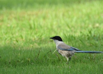 优秀员工作品——陈若彤《张望》