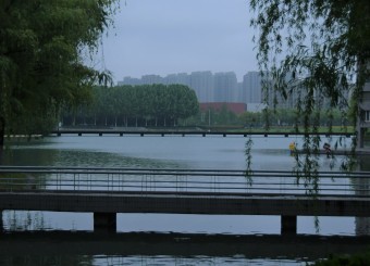 优秀员工作品——陈若彤《横桥》